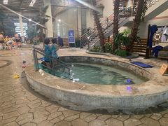 -南宫温泉水世界