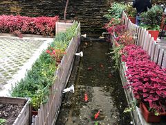 -老洋房花园饭店(绍兴路店)