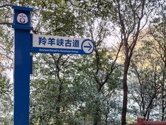 -羚羊峡古栈道森林公园