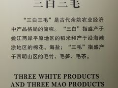 -余姚博物馆