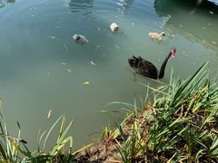 -金桥现代产业园区-停车场