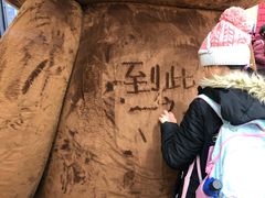 -line friends(明洞旗舰店)