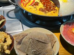 -阳阳老火锅(小南门店)