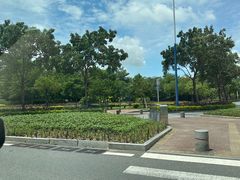 -濠江渔港酒楼(湾仔海鲜街，会展中心店)