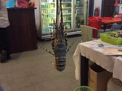 -真浪大家乐海鲜餐馆