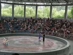 -石家庄市动物园