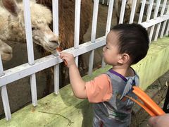 -荆州中山公园动物园