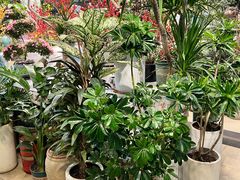 -双季花艺园艺市场(浦东店)