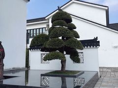 -广富林宰相府酒店·水云间