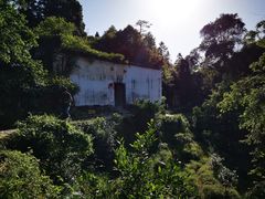 -杨家堂村