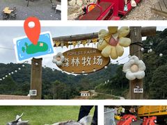 -龙岩森林水乡景区