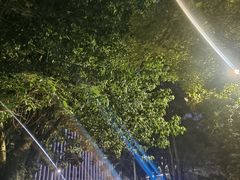 -荔枝公园(福田区)
