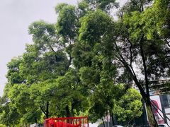 -成都当代美术馆