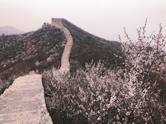 -龙泉峪长城