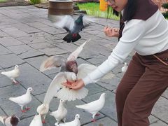 -中国翰园碑林