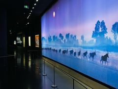 -罗红摄影艺术馆