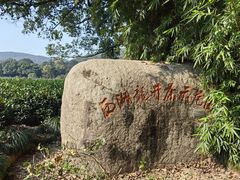 -中国茶叶博物馆(双峰馆区)