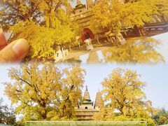 -北京石刻艺术博物馆(五塔寺)