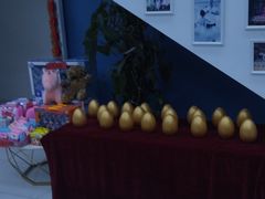 -西安小天鹅艺术团(曲江Alice店)