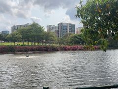 -深圳龙潭公园