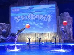 -华夏文旅海洋公园