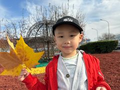 -小吊梨汤·北京菜·烤鸭(鸟巢店)