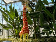 -南宫五洲植物乐园