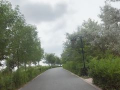 -小绿谷公园