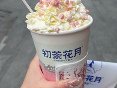 -初茶花月·重庆特产(大融城店)