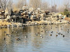 -北京野生动物园