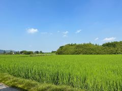 -良渚古城遗址公园