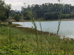 -福建鲤鱼洲酒店