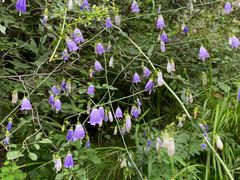 -云峰山自然风景区