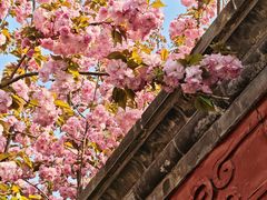 -李叔同故居纪念馆