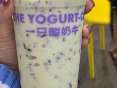 -一只酸奶牛(八一路店)