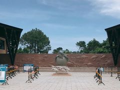 -广东惠东海龟国家级自然保护区