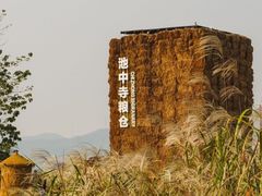 -良渚古城遗址公园