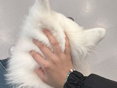 -共舞时光猫咖·狗咖(新街口店)