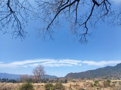 -塔川景区