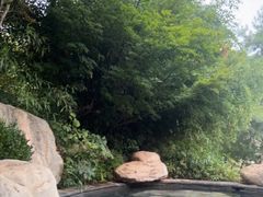 -七彩云南古滇温泉山庄