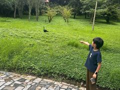 -莫里热带雨林景区