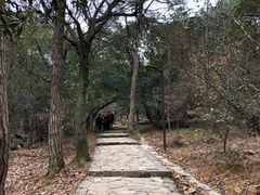 -虞山风景区