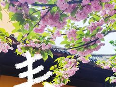 -龙华寺