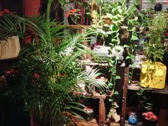 -大匠工房古船木艺术餐厅·猪肚鸡专门店(长白仙岛店)