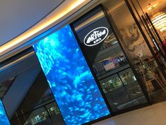 -Mr·Fish鱼鲜生海鲜放题(银泰in99店)
