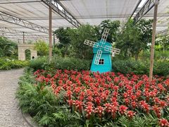 -南宫五洲植物乐园