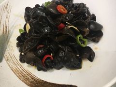 养生小木耳-骏莱海鲜鱼港(五角场店)