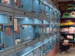 -FAELING PETS美天灵宠物(合生汇店)