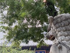 -西安大兴善寺