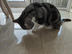 -骐奇宠物诊疗中心(南亭公路店)